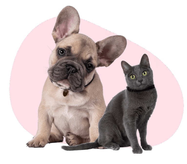 Animal Care Center Veterinary Clinic