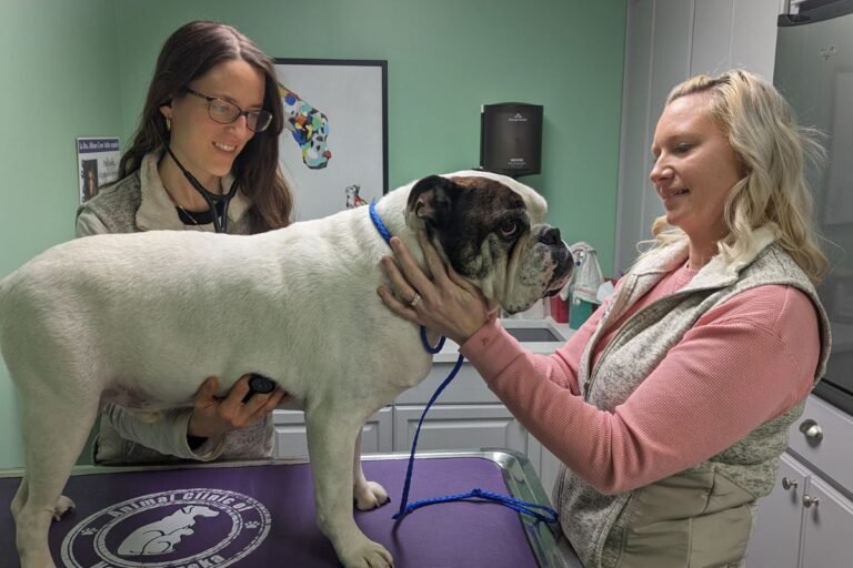 Animal Clinic of North Topeka