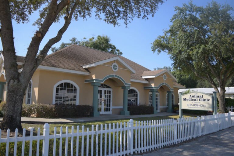 Animal Medical Clinic of Orlando
