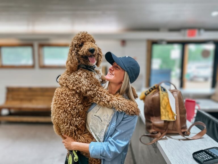 Animal Medical Professionals