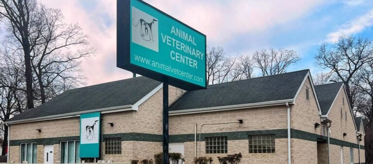 Animal Veterinary Center