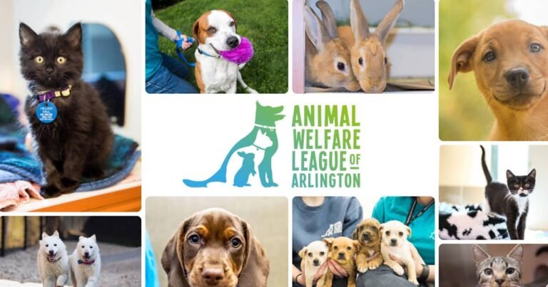 Animal Welfare League of Arlington