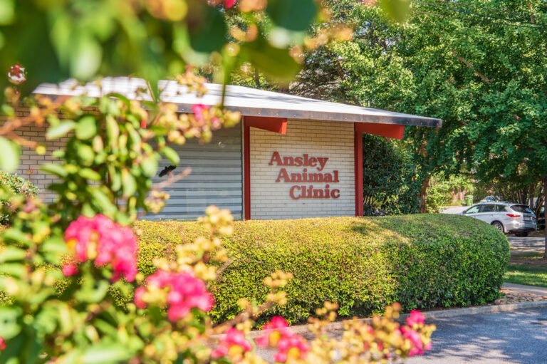 Ansley Animal Clinic