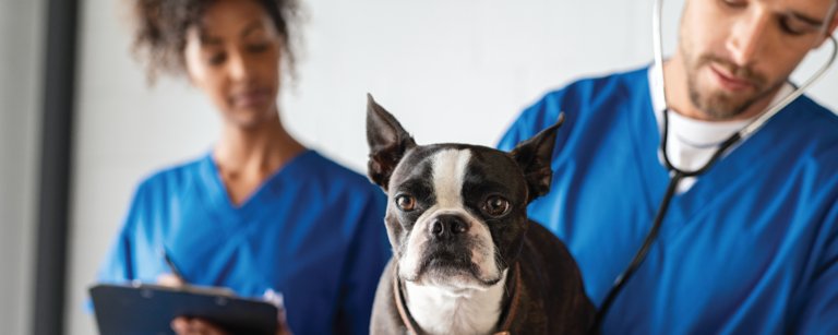 ARISE Veterinary Center
