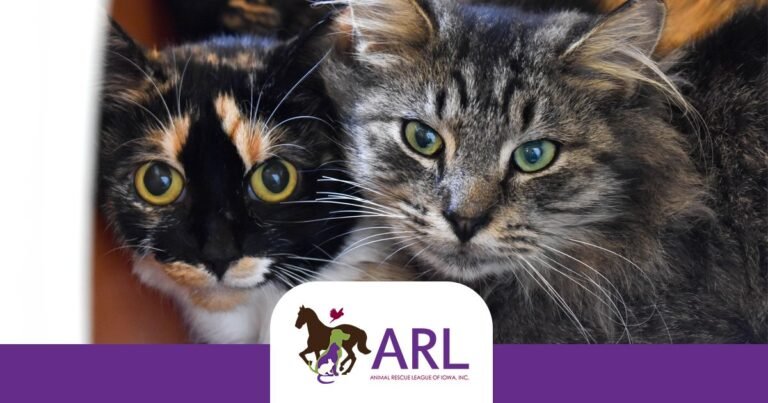 ARL Training Center