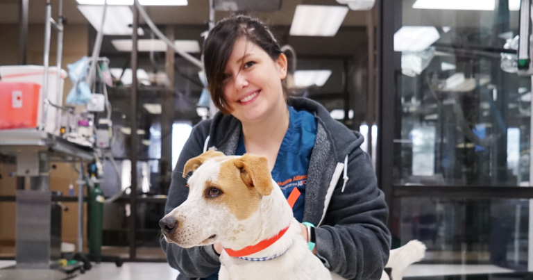 ASPCA Spay/Neuter Alliance