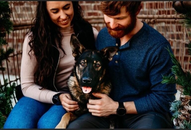 Bark and Bone Pet Services