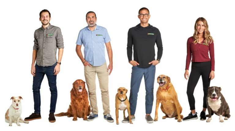 Bark Busters Home Dog Training Greater San Diego