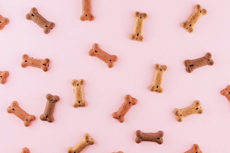 Barking Beauties