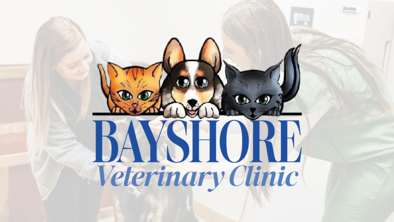 Bayshore Veterinary Clinic