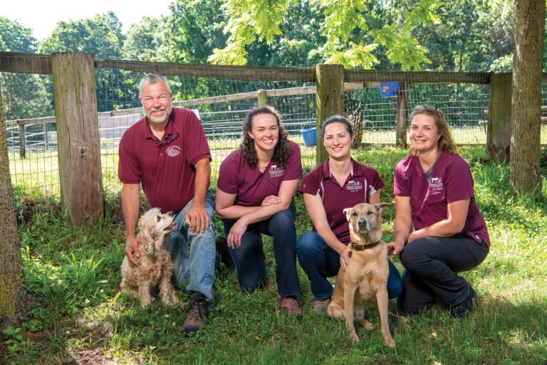 Beckett & Associates Veterinary Services