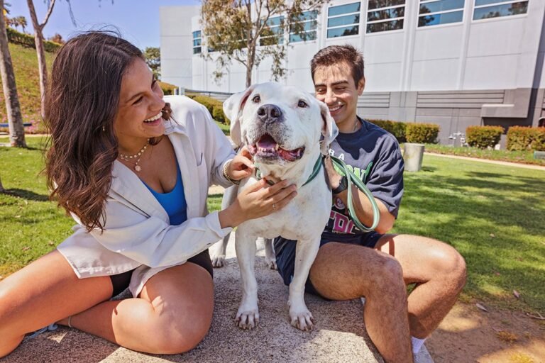 Best Friends Animal Society