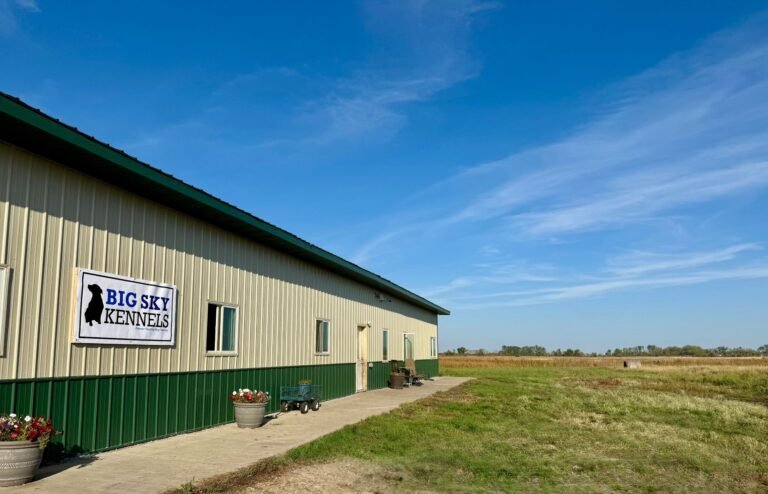 Big Sky Kennels
