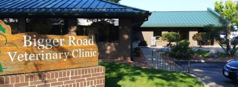 Bigger Road Veterinary Center