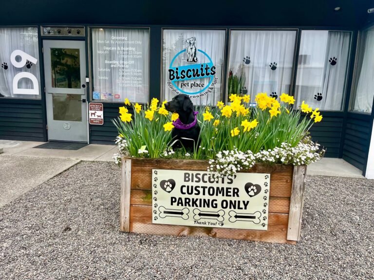 Biscuits Pet Place
