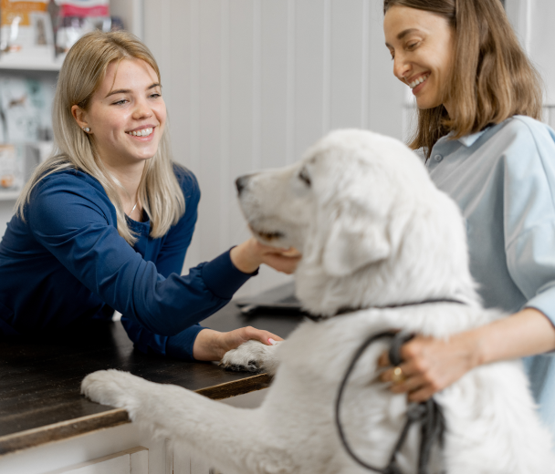 Boughton Square Animal Clinic