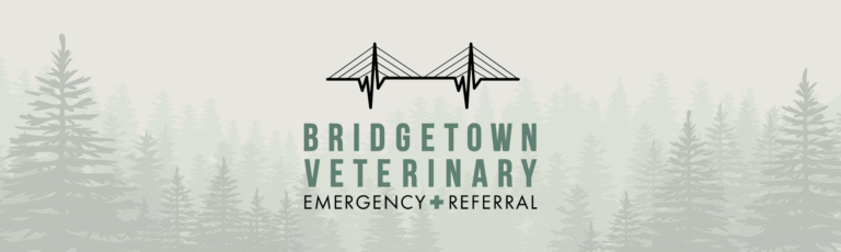 Bridgetown Veterinary Emergency + Referral