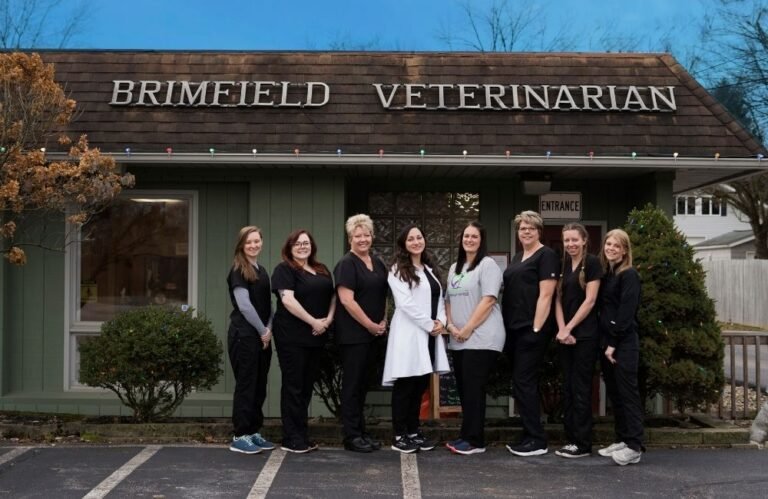 Brimfield Veterinary Services