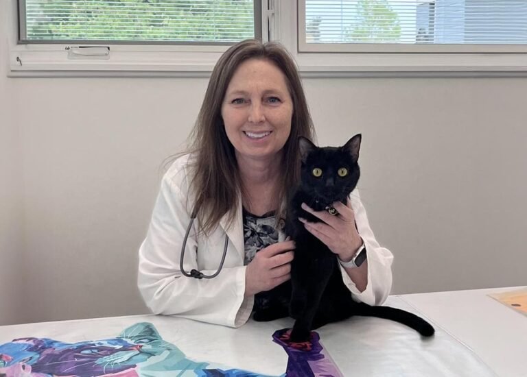 Broad Ripple Animal Clinic