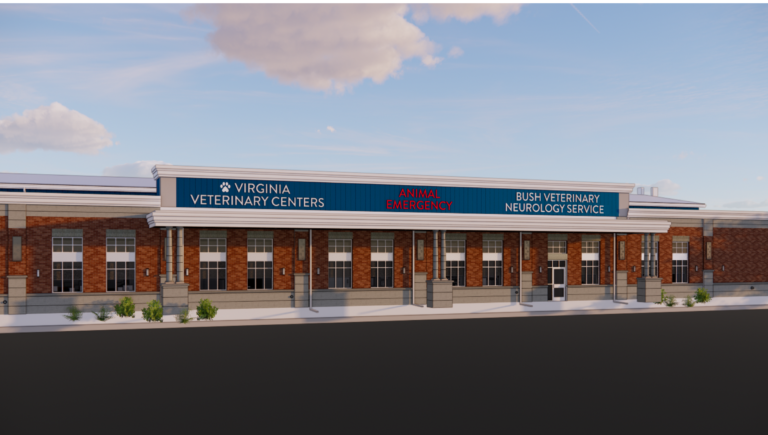 Bush Veterinary Neurology Service (BVNS) – Short Pump