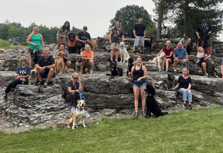 Canine Academy