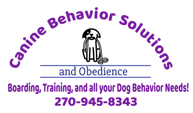 Canine Behavior Solutions and Obedience