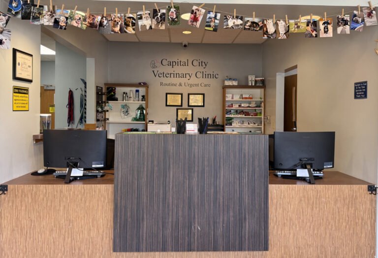Capital City Vet Clinic