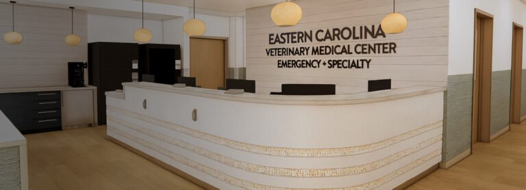 Carolina Canine Sports Medicine and Rehabilitation Group