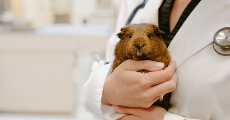 Center for Bird and Exotic Animal Medicine