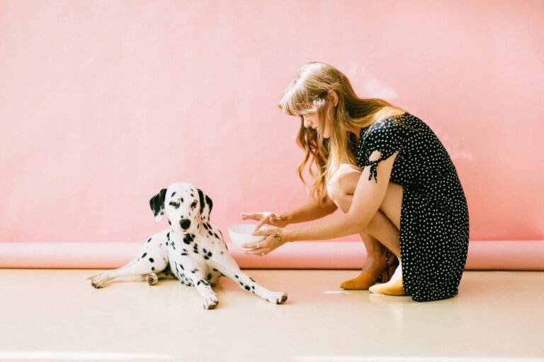 Chagrin Falls Pet Clinic & Veterinary Center