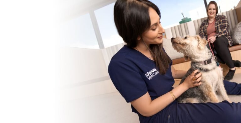 Chewy Vet Care 9+Co