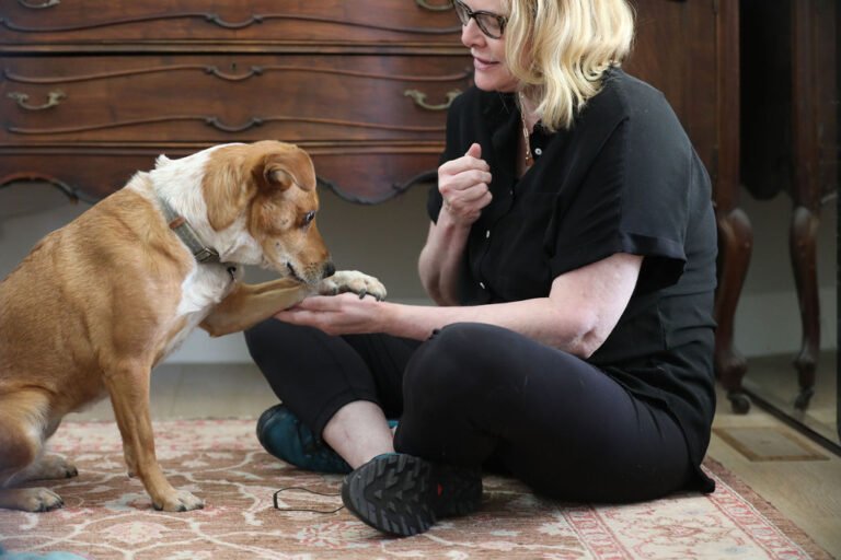 Choose to Train Humane: Canine Behavior and Pet Dog Training