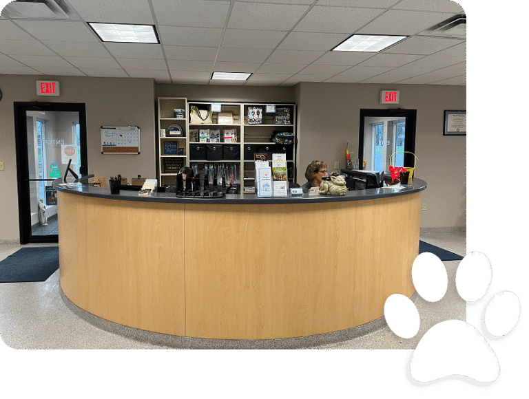 Cicero Animal Clinic, P.C
