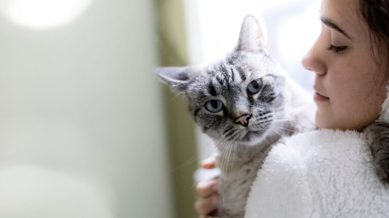 Cincinnati Veterinary Surgical & Wellness Center