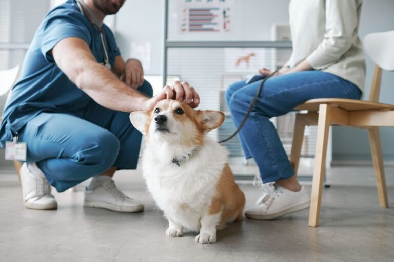 City Line Veterinary Center