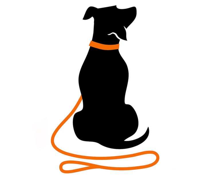 Clever Canine Dog Training