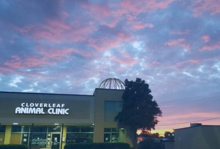 Cloverleaf Animal Clinic