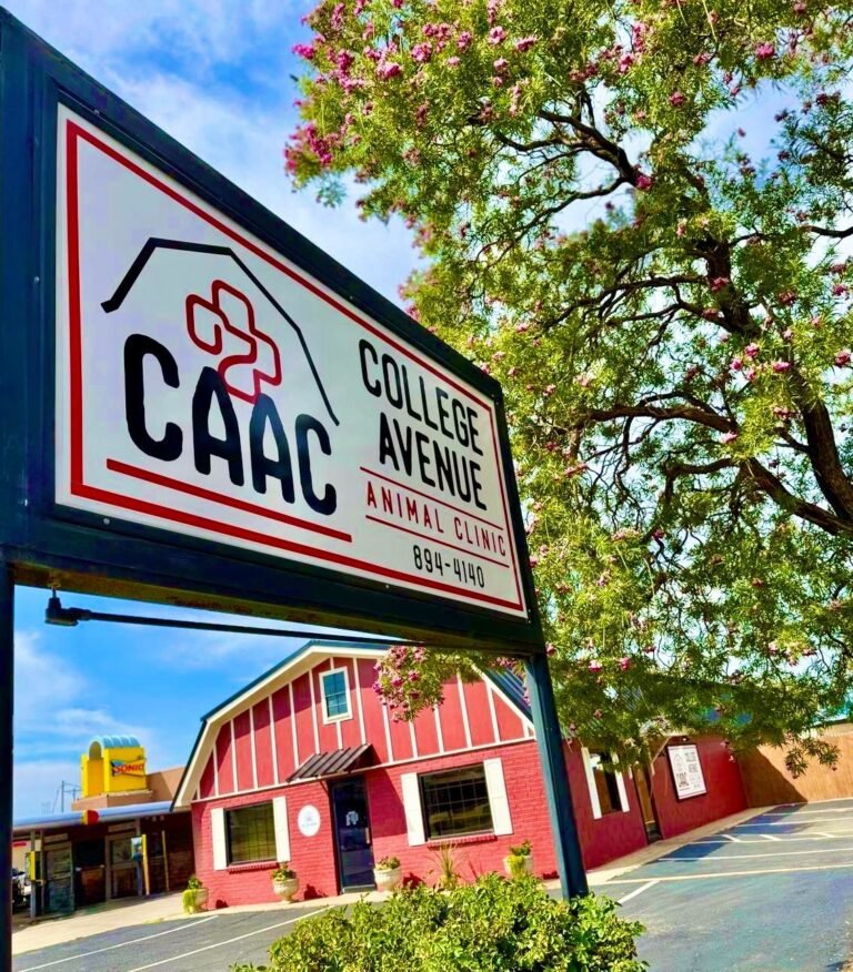 College Avenue Animal Clinic