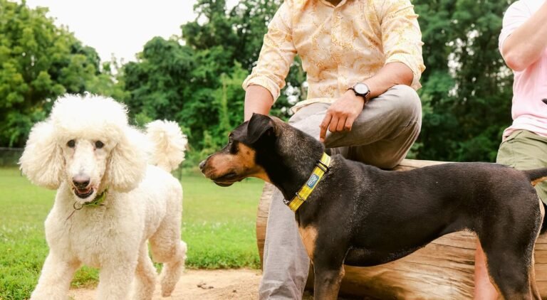 Columbia DogPark