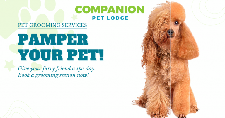 Companion Pet Lodge