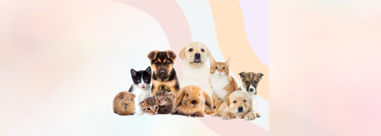 Countryside Pet Clinic & Resort
