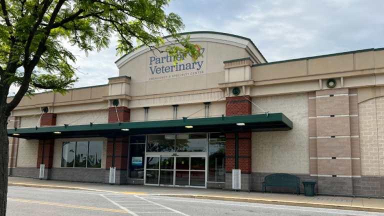 CVCA Cardiac Care For Pets