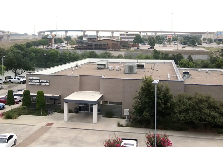 Dallas Veterinary Surgical Center (DVSC) – Fort Worth