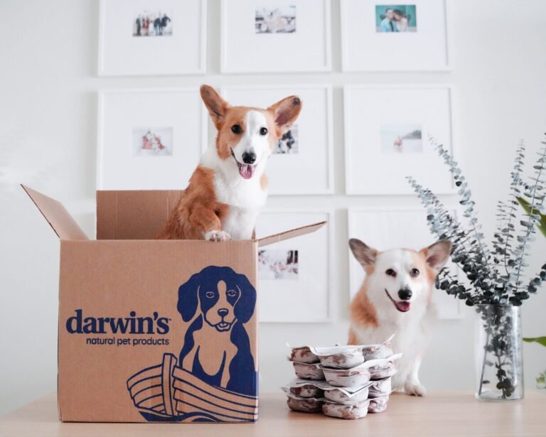 Darwin’s Natural Pet Products