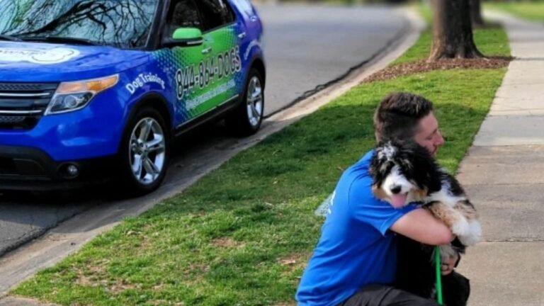 Dog Owner’s Academy