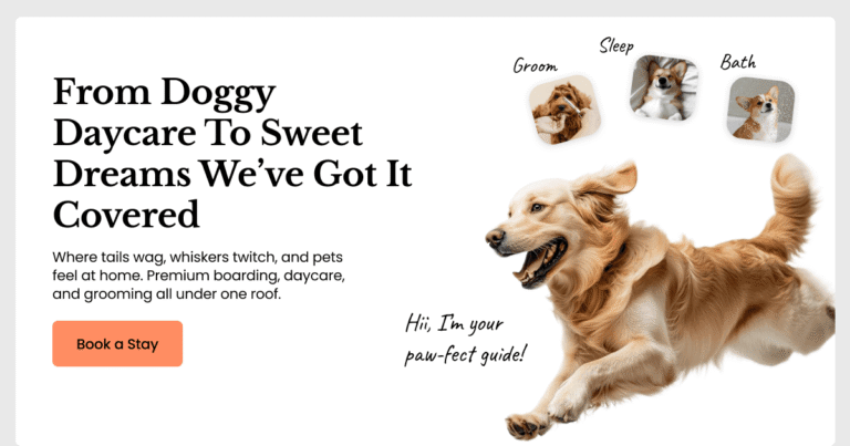 Doggie Paradise – Daycare, Boarding & Grooming