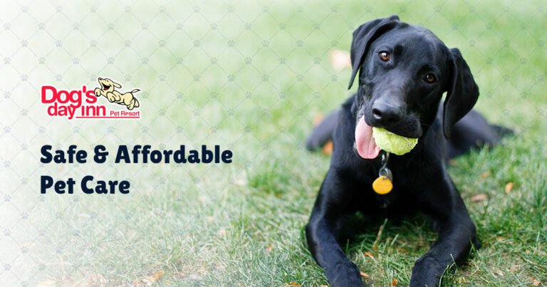 Dog’s Day Inn Pet Resort