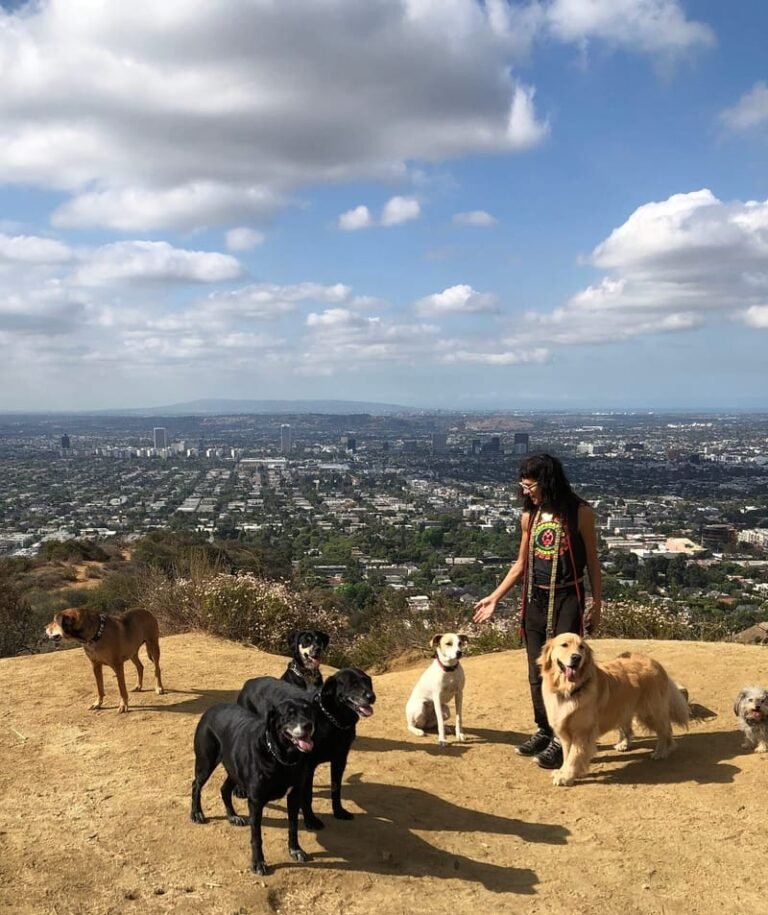 DogsAreGenius