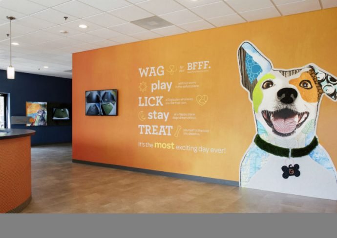 Dogtopia of Tanque Verde