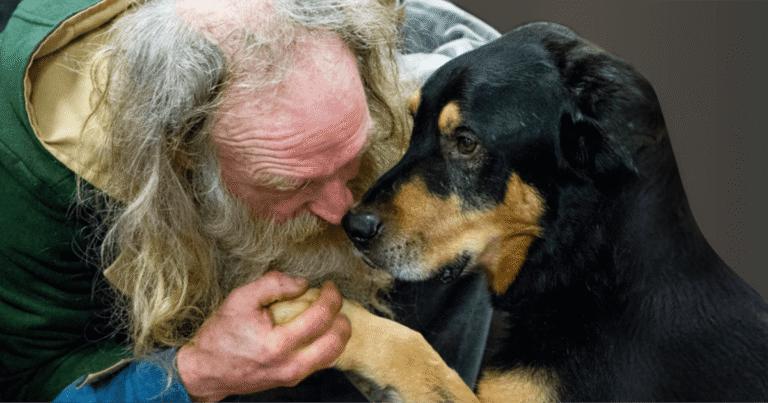 Doney Coe Pet Clinic